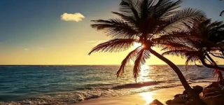 Diamond Painting Sonnenaufgang Strand Palmen Meer